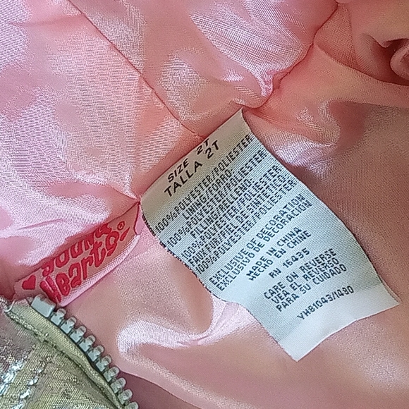 Toddler 2T Girl Metallic Silver Winter Jacket/Coat with Hood - Picture 4 of 4